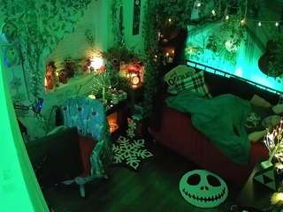 voyeurcam veccasalt 01